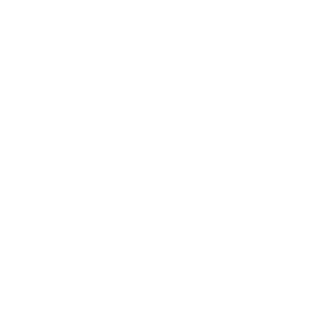 BuildXHomes Logo